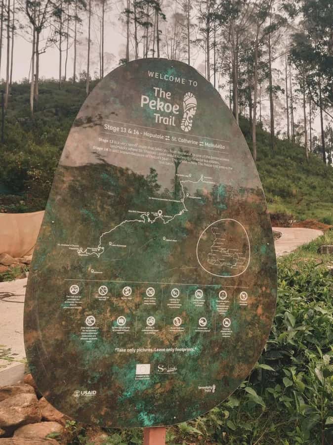 Haputale Day Tour by Tuk Tuk - Nature & Culture - FAQs