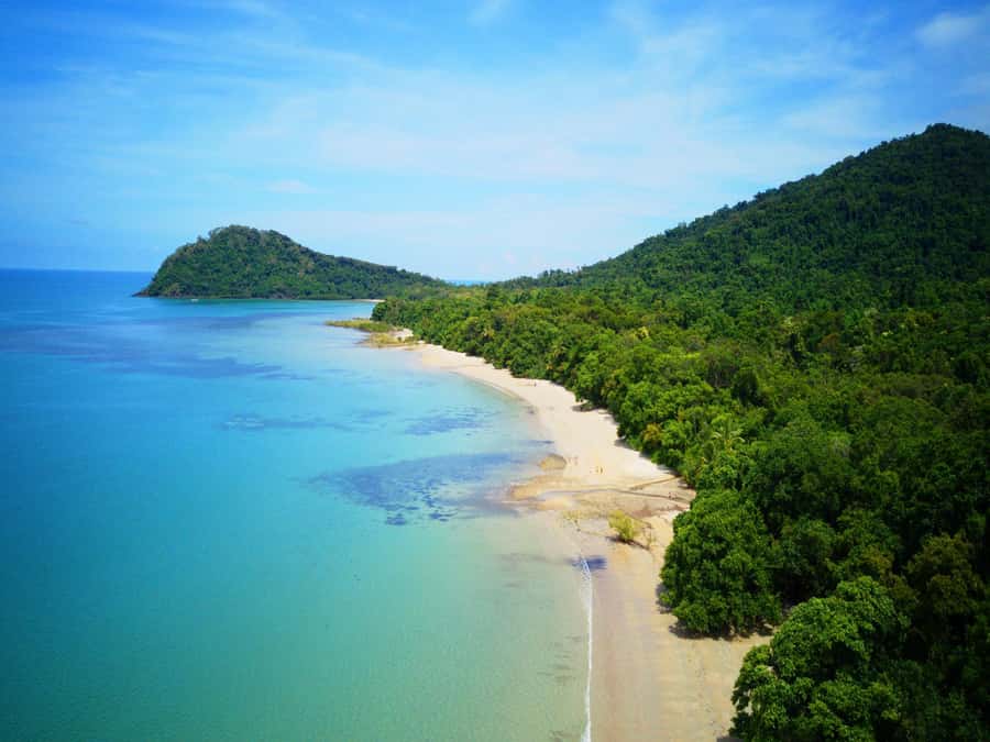 Cairns : 2 Days Daintree & Reef Experience - Exploring the Richness of the 2-Day Cairns Daintree & Reef Experience
