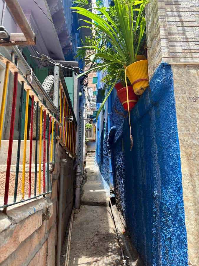 Jodhpur: Blue City Heritage Walking Tour with Guide - Good To Know