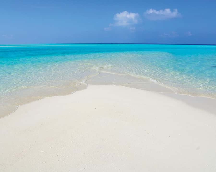 Maldives: Snorkeling with Nurse Sharks, Coral Reef, Sandbank - Key Points