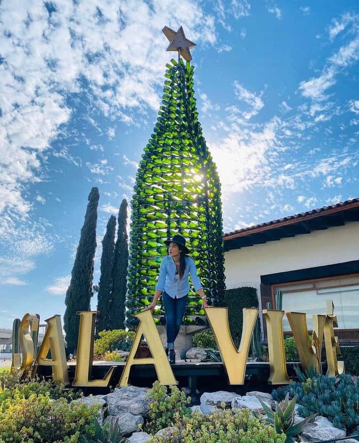 Querétaro: Peña de Bernal y Cavas de Freixenet - Return Journey