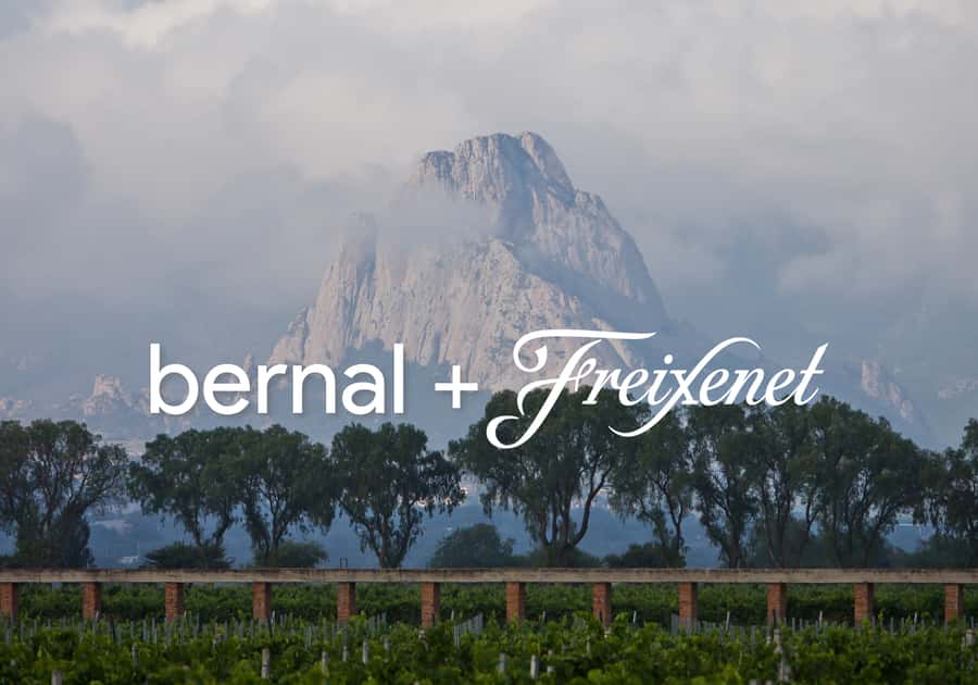 Querétaro: Peña de Bernal y Cavas de Freixenet - An Overview of the Tour Experience