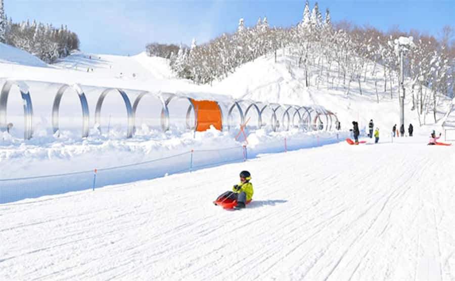 From Tokyo: Mt. Fuji Skiing And Onsen Experience 1-Day Tour - Good To Know