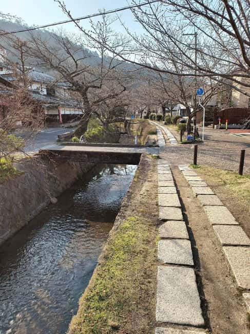 Kyoto:Philosophers Path Seasonal Walk - What You Can Expect From the Tour