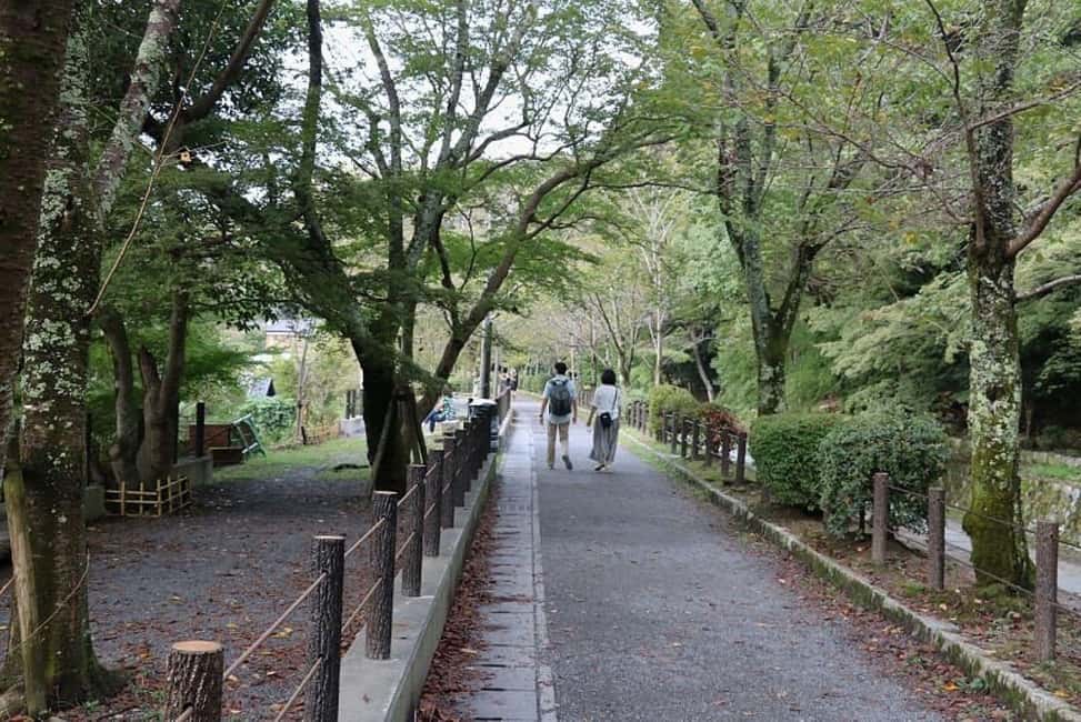 Kyoto:Philosophers Path Seasonal Walk - Is This Tour Worth the Price?