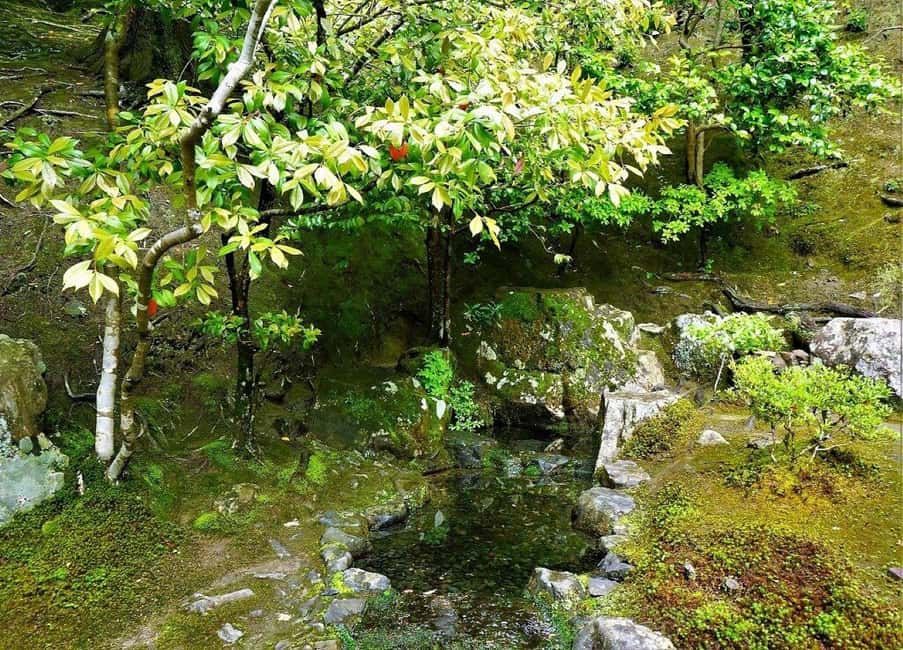 Kyoto:Philosophers Path Seasonal Walk - Who Will Love This Experience?