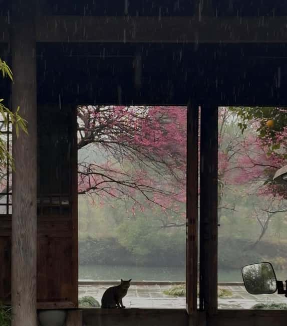 Hangzhous Urban Oasis: Poetic Xixi Wetland Half-Day Tour - FAQs