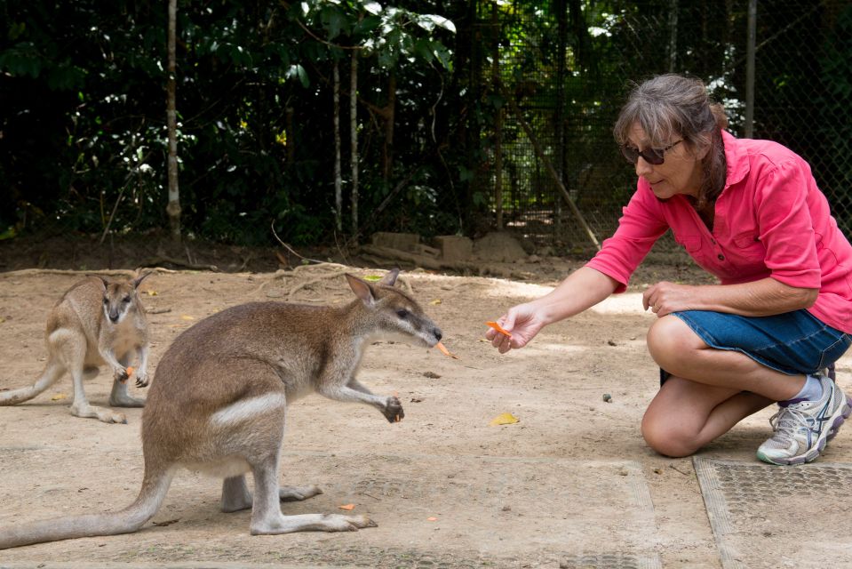 From Cairns: Daintree Rainforest & Cape Tribulation 4WD Tour - The Sum Up