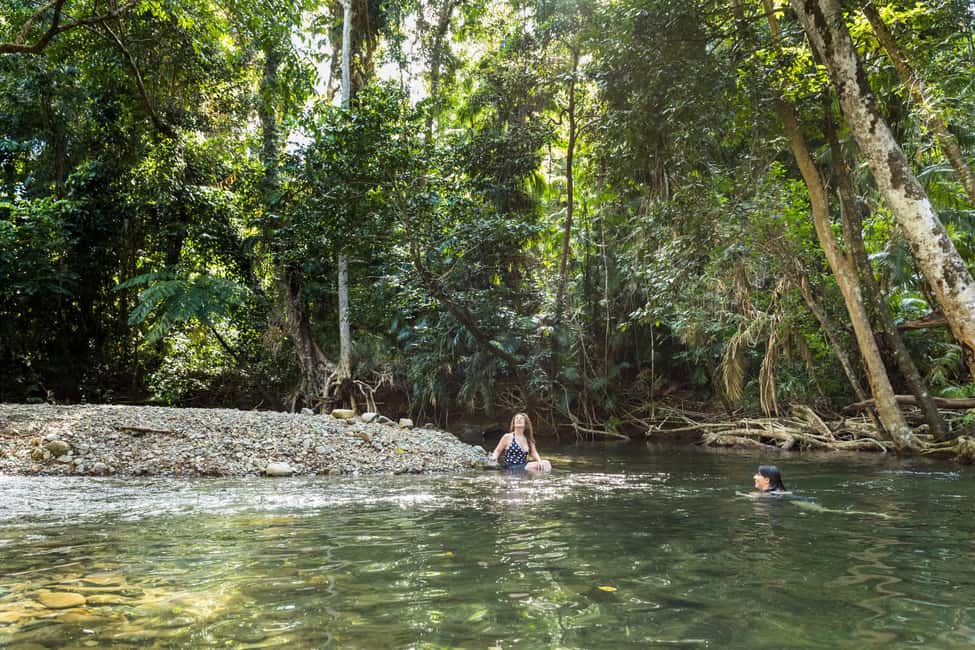 From Cairns: Daintree Rainforest & Cape Tribulation 4WD Tour - Who Will Love This Tour?