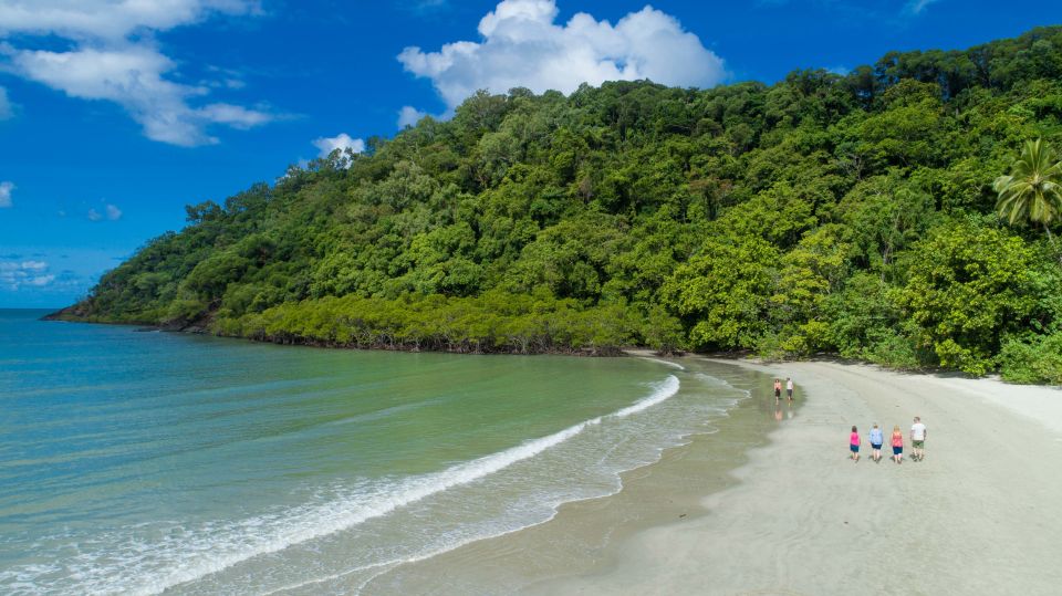 From Cairns: Daintree Rainforest & Cape Tribulation 4WD Tour - A Detailed Look at the Daintree & Cape Tribulation Tour