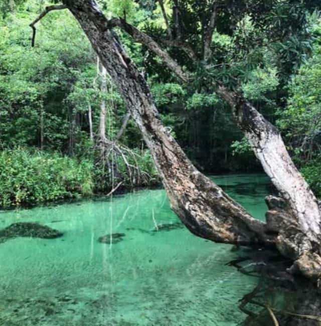 Private: Playa Rincón Samaná Levantado Full-Day Excursion - An In-Depth Look at the Tour Itinerary