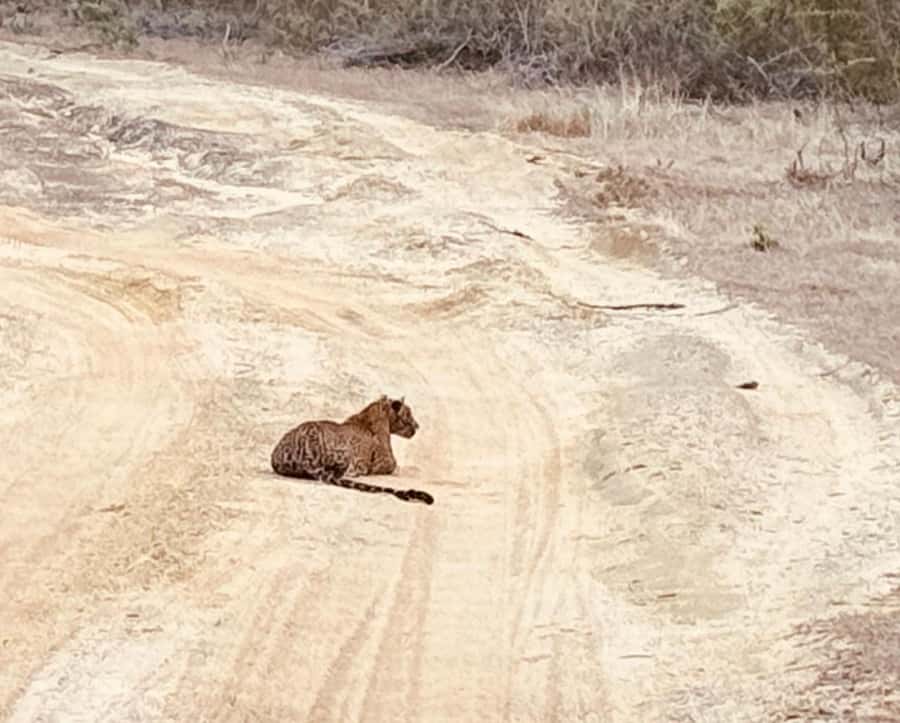 Weheragala National Park: Jeep Safari Tour - The Location and Its Unique Charm