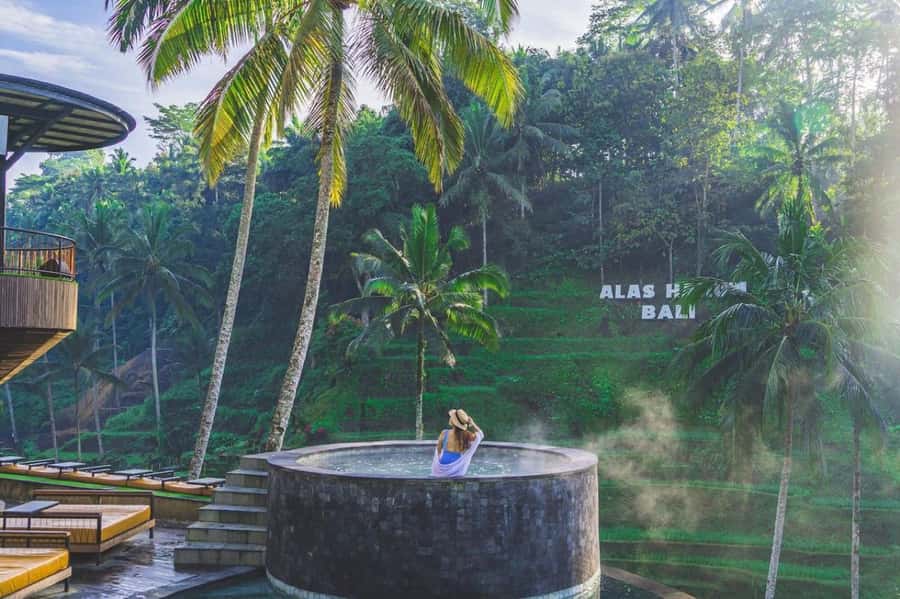 Ubud: Alas Harum, Temple, and Waterfall - Private Tour - Practical Tips for the Tour
