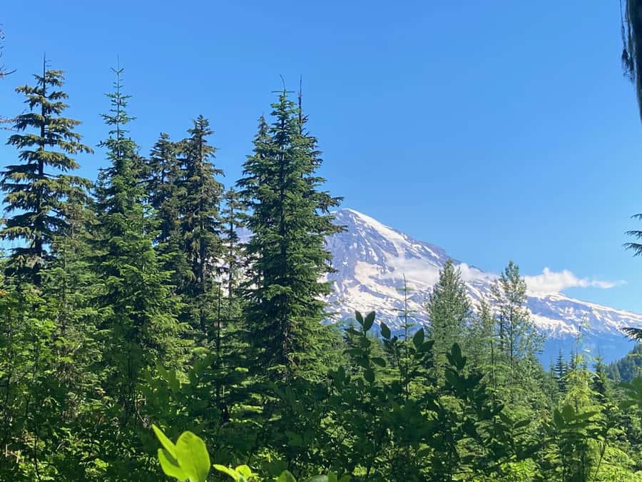 Alpine Lakes Hike In The Gifford Pinchot National Forest - Who Will Love This Tour?
