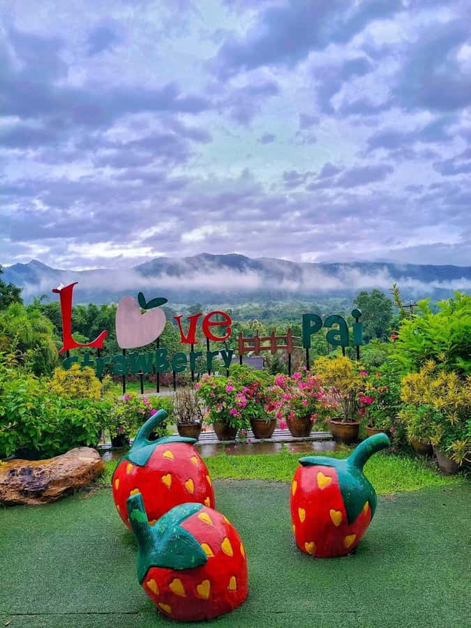 Chiang Mai: Pai Famous Attractions Day Trip with Guide - The Scenic Drive to Pai: Setting the Stage