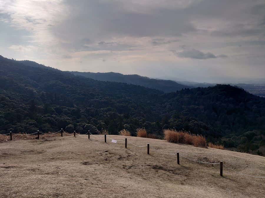 Nara: Mt. Wakakusa Family Picnic Trail with Guide - An In-Depth Look at the Mt. Wakakusa Family Picnic Trail Experience