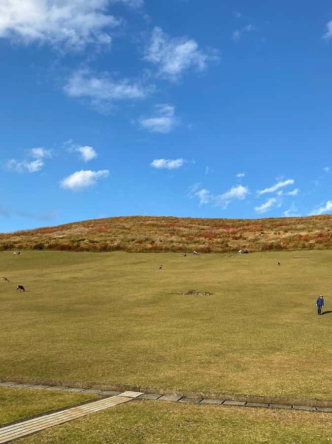 Nara: Mt. Wakakusa Family Picnic Trail with Guide - Frequently Asked Questions