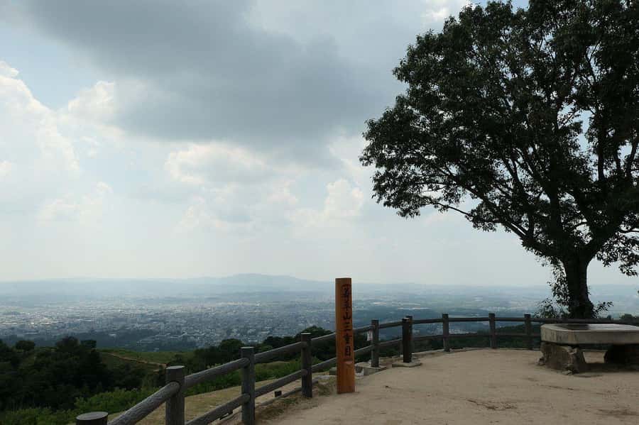 Nara: Mt. Wakakusa Family Picnic Trail with Guide - Who Will Love This Tour?