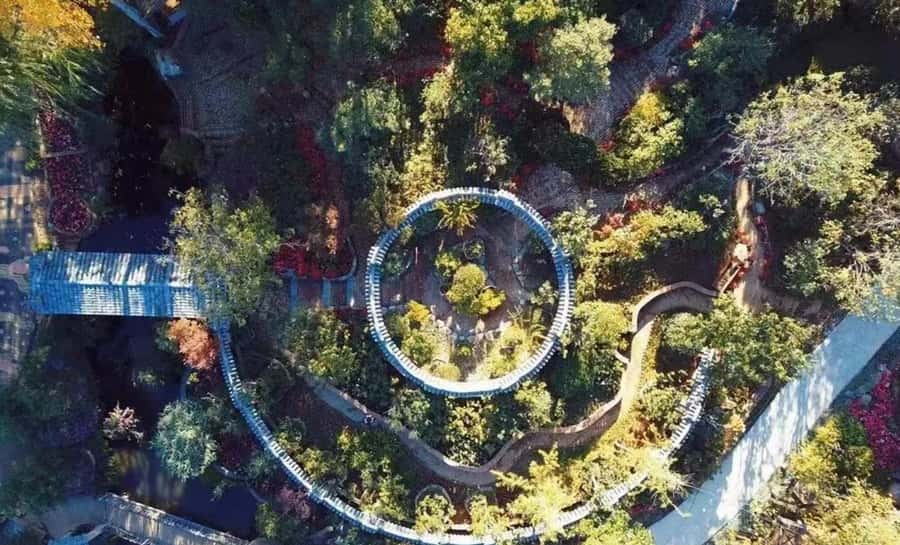 Dali: Cangshan Botanical Garden Ticket (Adult) - What to Expect During Your Visit