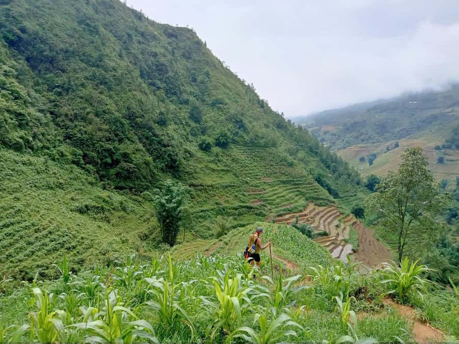 Sapa: T Van to Su Pan Guided Trek with Local Guide - Detailed Itinerary Breakdown