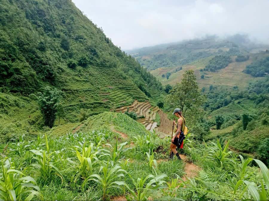 Sapa: T Van to Su Pan Guided Trek with Local Guide - Practical Details: Transportation, Timing, and Group Size