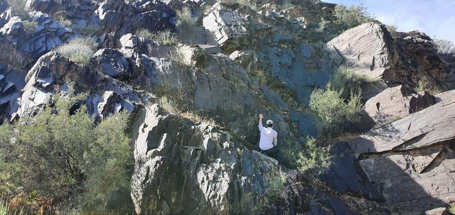 Bukhara: Sarmish-Soy Gorge Petroglyphs Day Trip - The Journey Begins: Scenic Drive from Bukhara