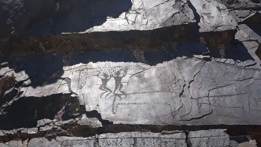 Bukhara: Sarmish-Soy Gorge Petroglyphs Day Trip - Who Is This Tour Best For?