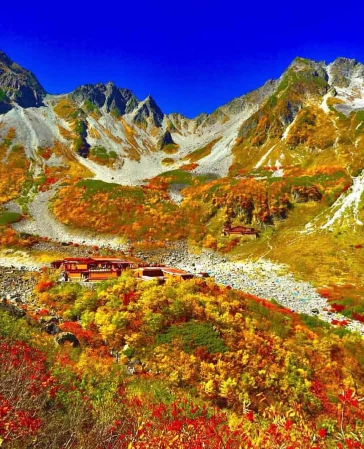 Nagoya: Kamikochi Autumn Hiking & Photography Tour - Practical Details: What You Need to Know