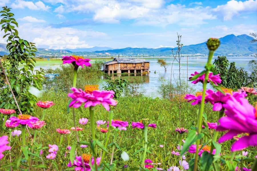 Shangri-La: Lijiang Ancient Town & Lashihai 1 Day Trip - The Itinerary in Detail