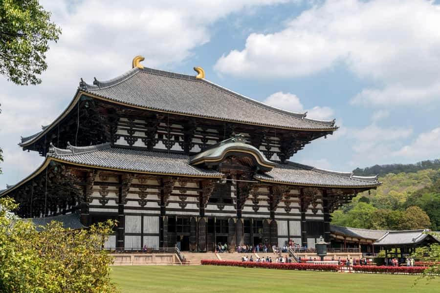 Nara: 3 UNESCO Sites Tour with Big Buddha & Deer - Why This Tour Stands Out