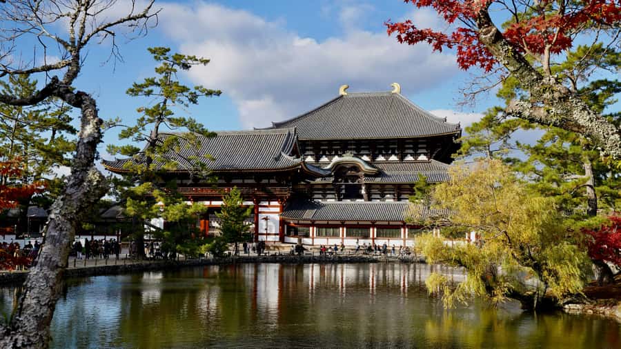 Nara: 3 UNESCO Sites Tour with Big Buddha & Deer - Key Points