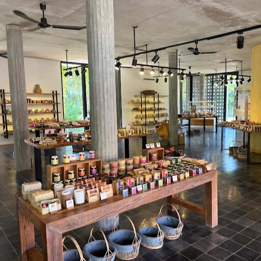 Half-day: Silk Farm, Senteurs Angkor & Satcha Craftsmanships - The Experience: What You’ll Take Away