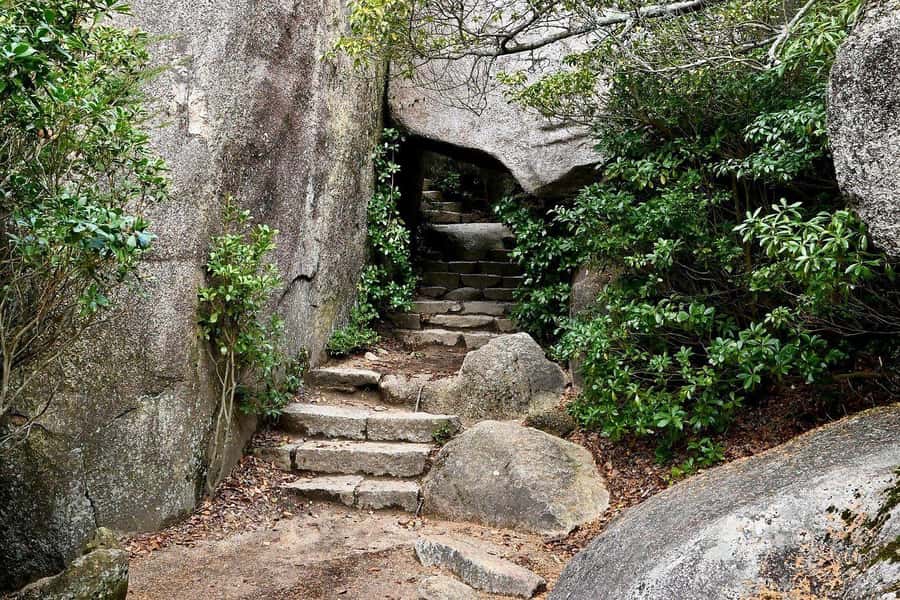 Golden Route to West Japan: 7-Day Cultural & Nature Tour - Day-by-Day Breakdown of the Itinerary