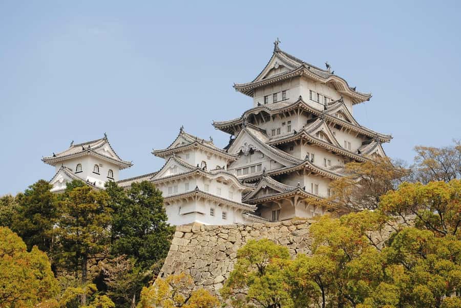 Golden Route to West Japan: 7-Day Cultural & Nature Tour - Who Will Love This Tour?