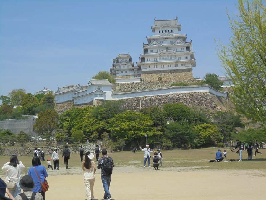 Golden Route to West Japan: 7-Day Cultural & Nature Tour - FAQ