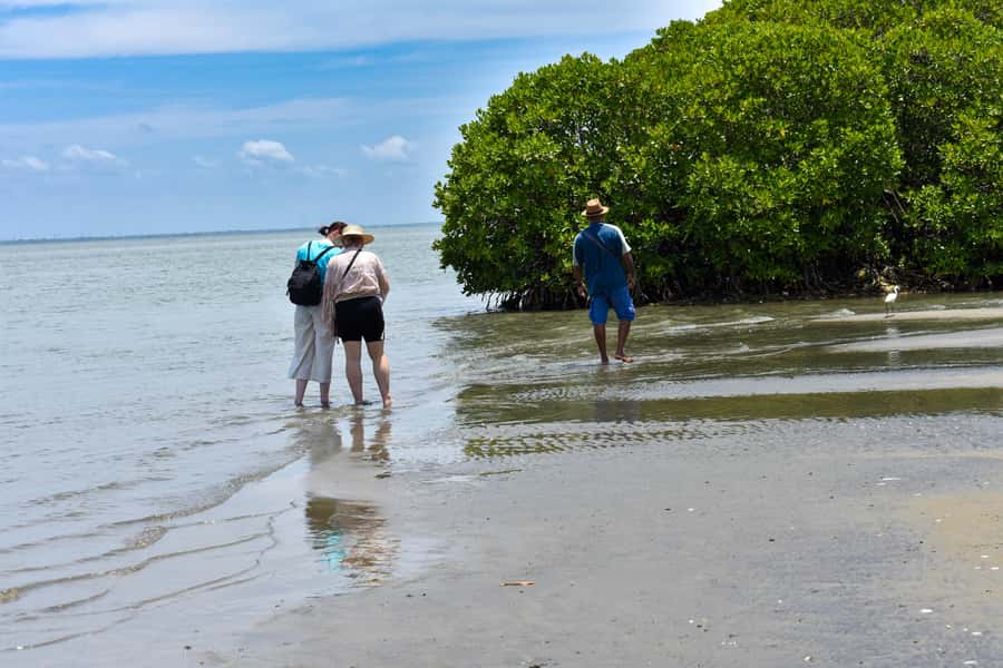 Negombo: Lagoon Boat Tour with hotel transfers & fruit snak - Practical Details and Tips