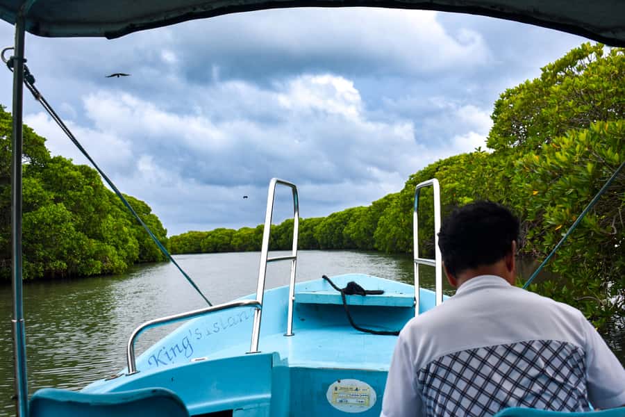 Negombo: Lagoon Boat Tour with hotel transfers & fruit snak - The Experience in Detail