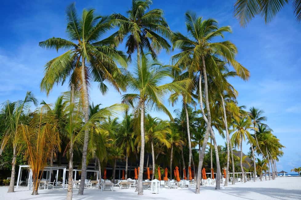 Private: Boca Chica to Saona Island Full-Day Cruise - FAQ