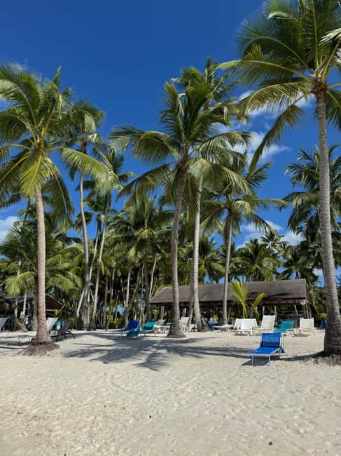 Private: Boca Chica to Saona Island Full-Day Cruise - A Detailed Review of the Boca Chica to Saona Island Full-Day Cruise