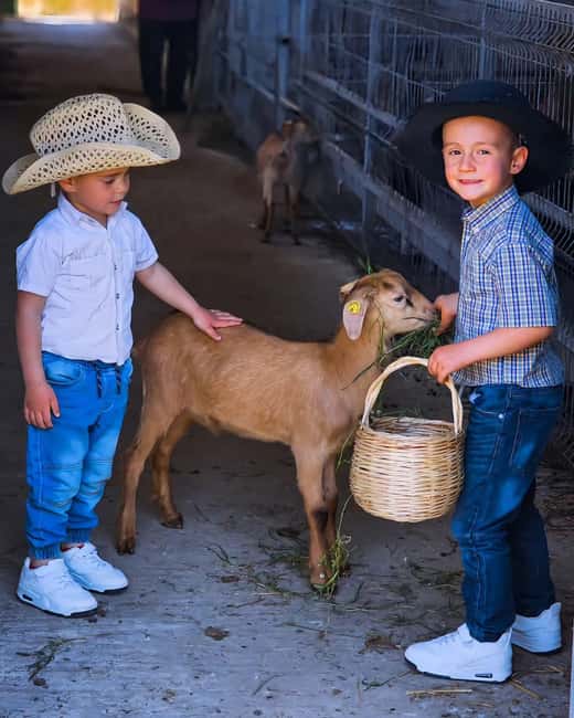 From Durres: Farmland, Vineyard & Wine Tasting Tour - Why This Tour Offers a Unique Albanian Experience