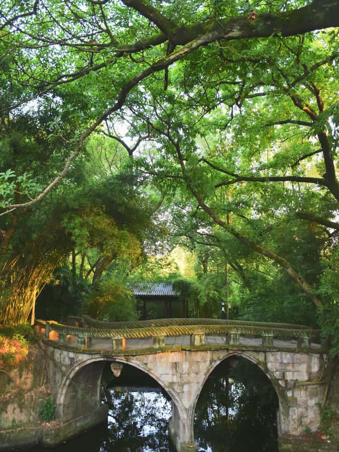 Chongqing Unveiled: Mountain City Trail & Flexible Itinerary - The Sum Up