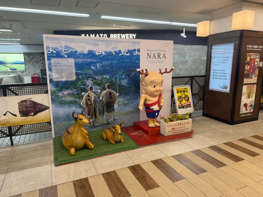 Osaka & Nara: Must-see Spots Full Day Tour with Hotel Pickup - The Sum Up