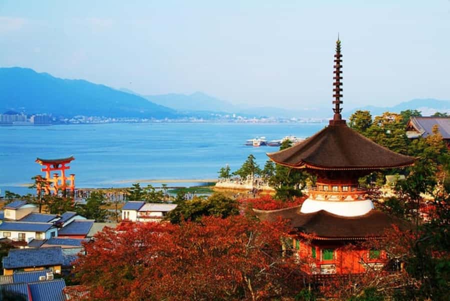 Hiroshima: Miyajima Island Spiritual & Scenic Walking Tour - Pricing and Value