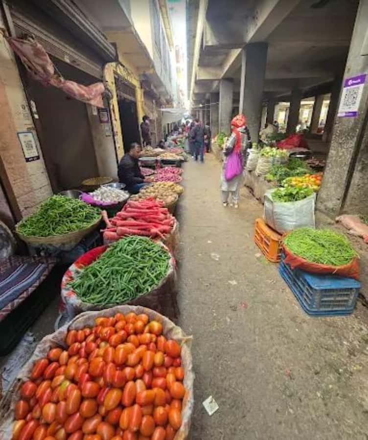 Hidden side of Udaipur : City walk with Mitali - The Itinerary Breakdown