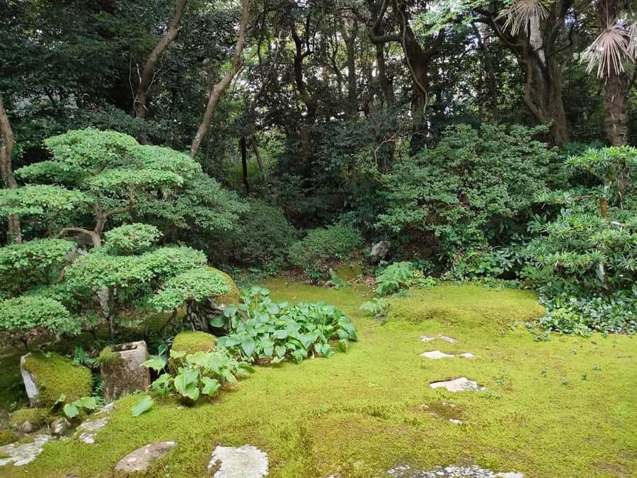 Kanazawa, Noto: Old Temple Half Day Tour with a Monk - Who Should Consider This Tour?