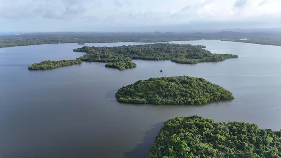 Colombo: UNESCO Galle Fort with Scenic Coastal Rail Journey - The Review: What Sets This Tour Apart