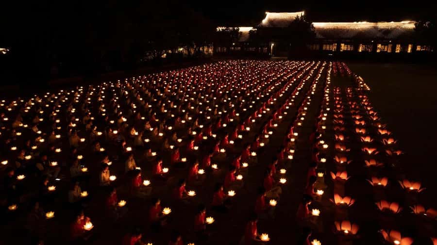 Ninh Binh Nightlife & Food: Bai Dinh Temple, Hoa Lu Stroll - Final Thoughts
