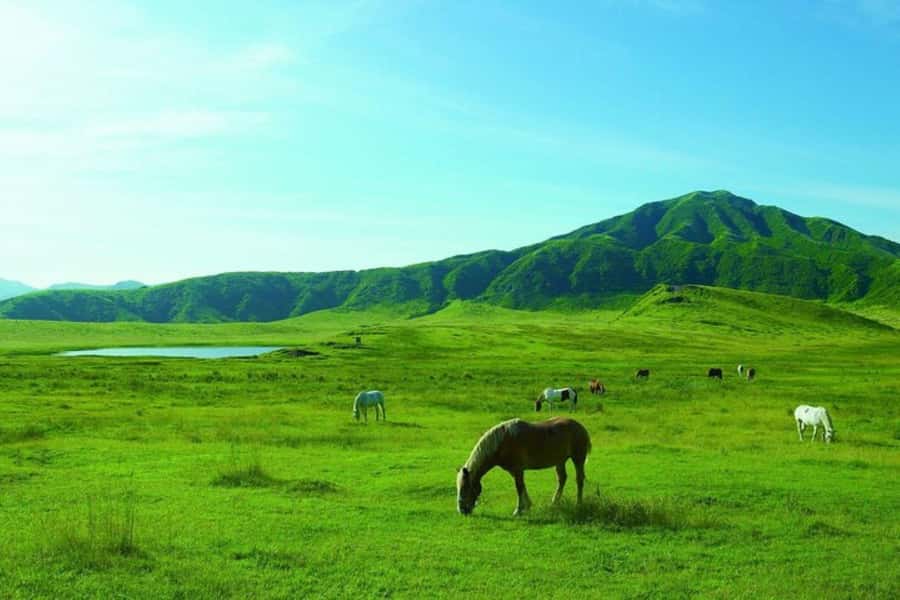 Fukuoka: Mt. Aso Volcano Walk & Kusasenri Horseback Ride - Practical Considerations