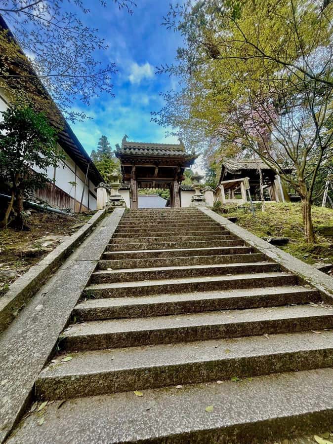 Fukuoka: Mt. Aso Volcano Walk & Kusasenri Horseback Ride - FAQ