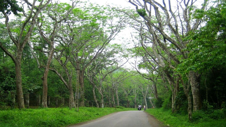 Private Day Tour: Cuc Phuong National Park from Hanoi - FAQ